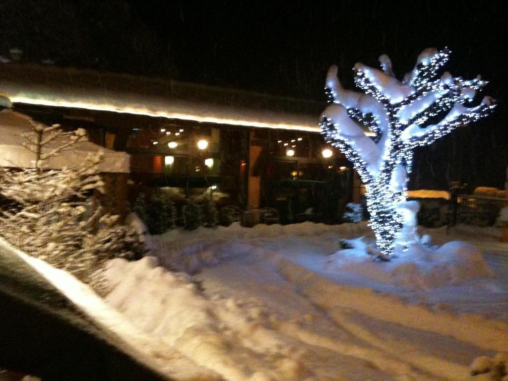 Lion Hotel 3*